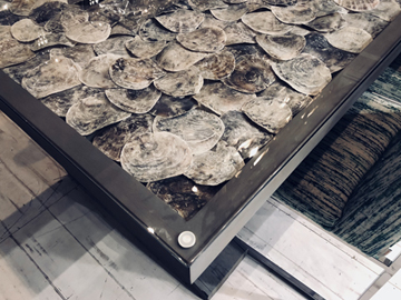 Shell Collection